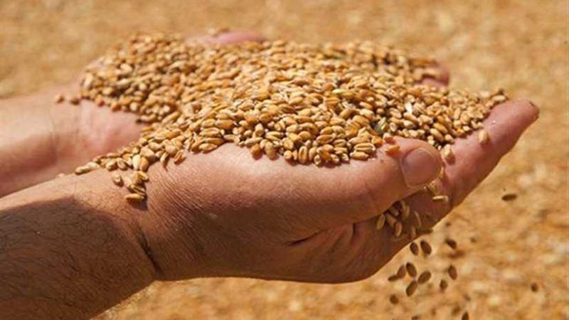 الانتهاء من حصاد