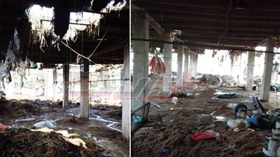 حريق هائل بمزرعة فى طوخ