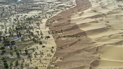 هكذا تواجه الصين التصحر (صور)