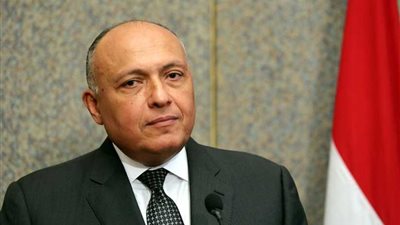 شكرى: لن نفرط فى ذرة رمل من سيناء