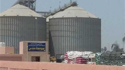 بني سويف تنهي موسم القمح بـ207 آلاف طن بزيادة 8 آلاف طن عن العام الماضي