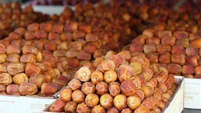 مزاد خيري لبيع التمور بالسعودية