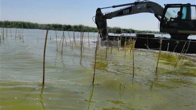 حملة مكبرة لإزالة التعديات على بحيرة البرلس ونهر النيل بـ