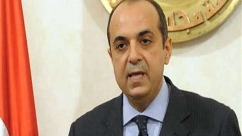 السفير المصري في