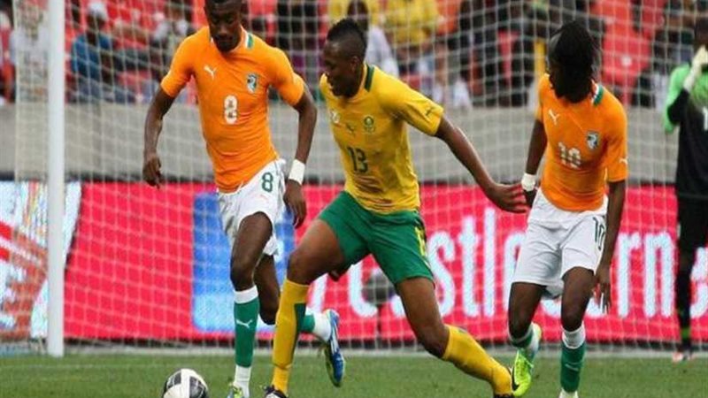 تشكيل الأفيال لمواجهة