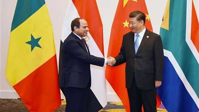 خلال القمة الصينية الأفريقية المصغرة بمشاركة السيسي.. رئيس الصين يؤكد أهمية دعم التنمية بأفريقيا