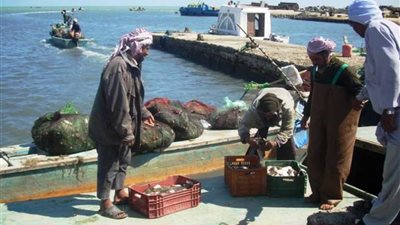 تجديد الصيد في بحيرة البردويل لمدة شهرين