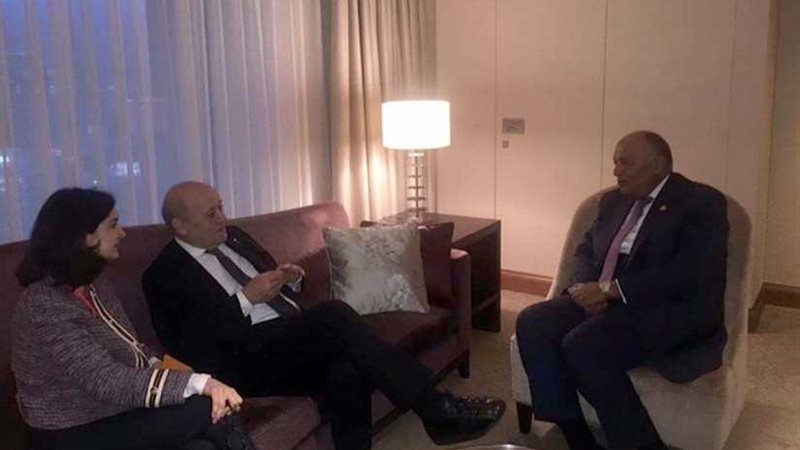 شكري يلتقي نظيره