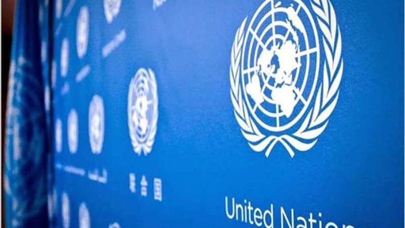 الأمم المتحدة : حالة