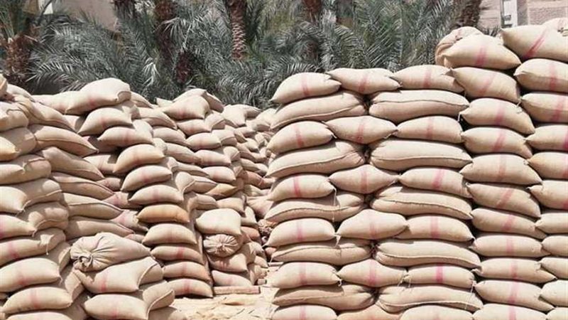 محافظ أسيوط: توريد