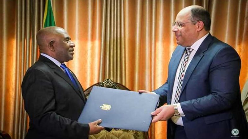 السفير المصري في