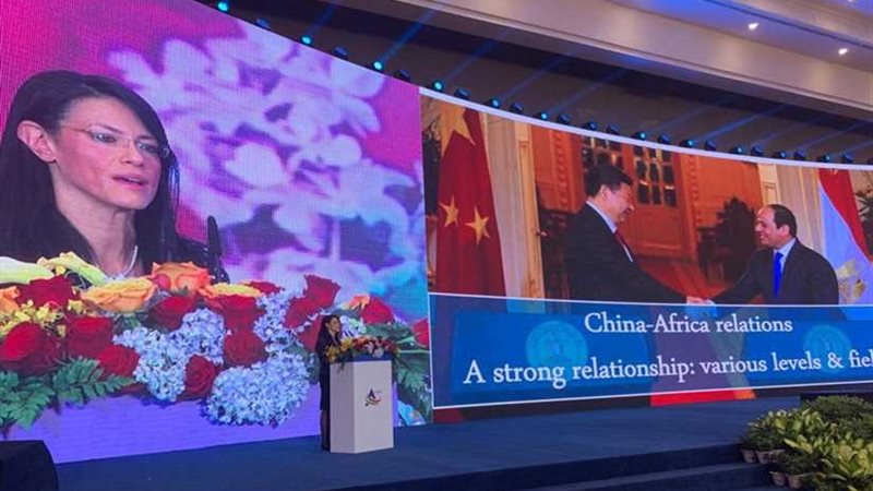 المشاط: مصر حققت