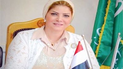 العبسي: 30 يونيو علامة فارقة في تاريخ الوطن