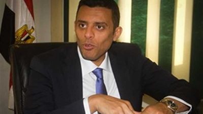 نائب رئيس حزب 