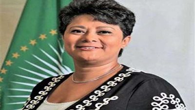 تعرف على أهم الموضوعات علي جدول اجتماعات وزراء الخارجية الأفارقة بالنيجر