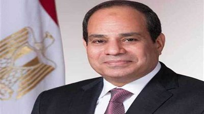 الرئيس السيسي يعود إلى أرض الوطن بعد مشاركته فى 