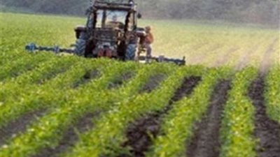 إزالة 587 حالة تعد على الأراضي الزراعية بالمنيا