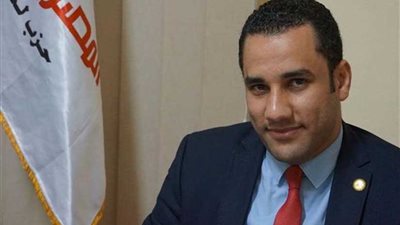 برلماني: ثورة 30 يونيو استردت الوطن والدولة