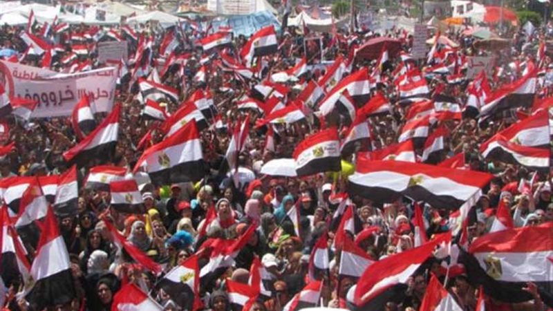 سياسيون: 30 يونيو