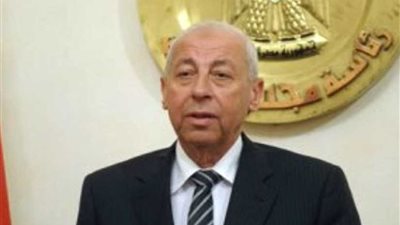 محافظ أسوان : توريد 72 ألفا و769 طنا من الأقماح