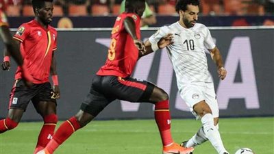 إحصائيات المجموعة الأولى في 