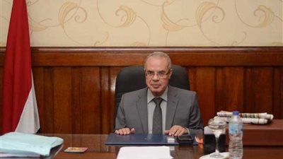 إعادة تشكيل المكتب الفني والمتابعة بمحكمة استئناف القاهرة
