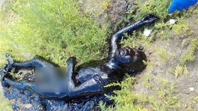 بالصور.. سقوط رجل في نهر من 