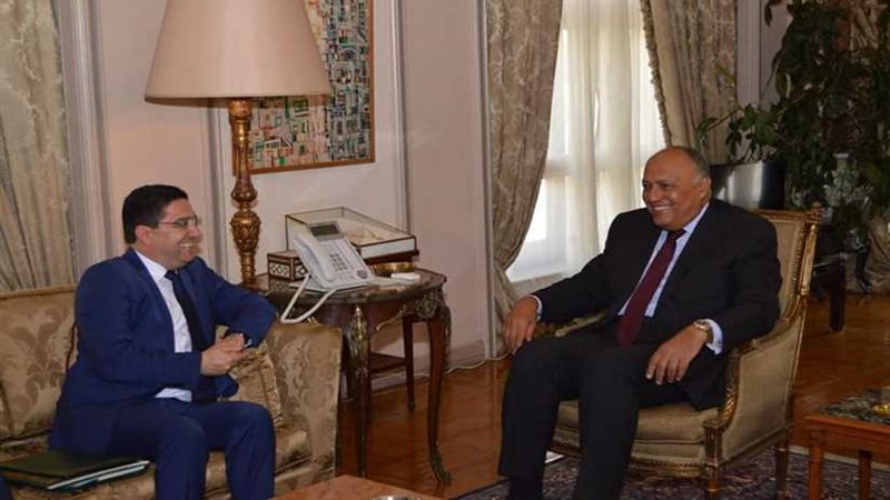 شكري يلتقي نظيره