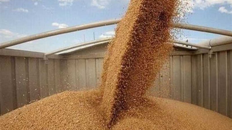 توريد 261 ألف طن