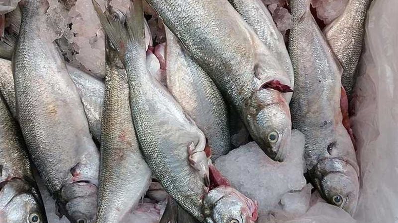 غلق محل أسماك بكفر