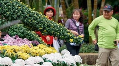 الصين تنظم معرضًا دوليًا للزهور منتصف يوليو الجاري