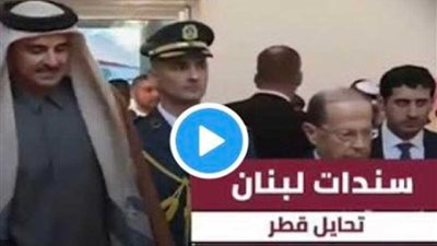 تميم تاجر بأزمات العرب لتسليح الإرهابيين