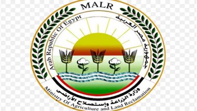 الزراعة: لا صحة لتداول لحوم برازيلية فاسدة