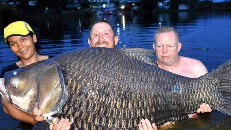 صياد يحطم الرقم العالمي