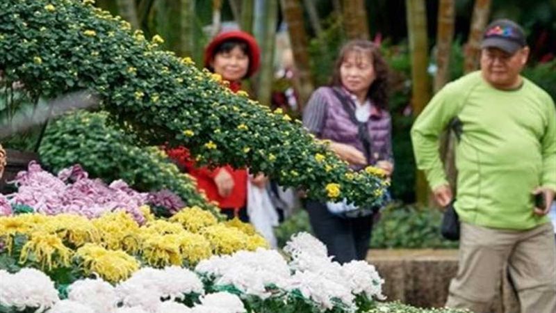 الصين تنظم معرضًا