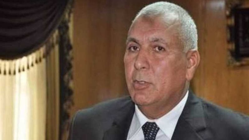 محافظ الوادى الجديد: