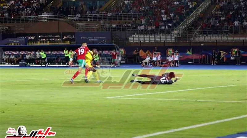 الأسود تزئر أمام