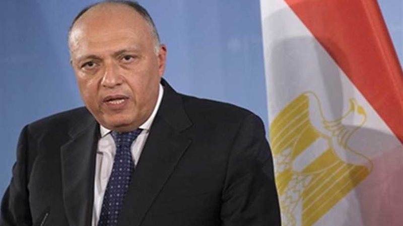 وزير الخارجية يؤكد