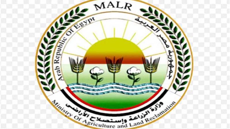 الزراعة: لا صحة لتداول