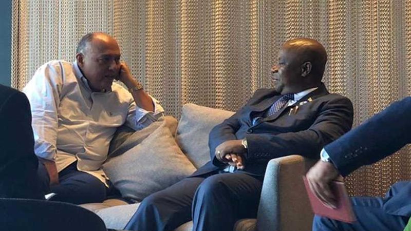 وزير الخارجية المصري