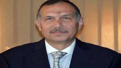 نائب رئيس حزب 