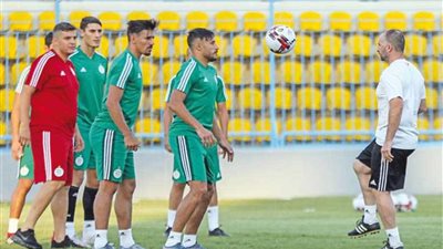 تشكيل محاربي الصحراء المتوقع أمام غينيا