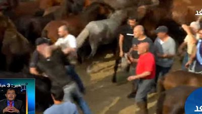 شاهد تباين أول مهرجان لترويض الخيول الوحشية بأسبانيا