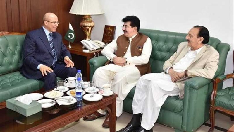 السفير المصري في