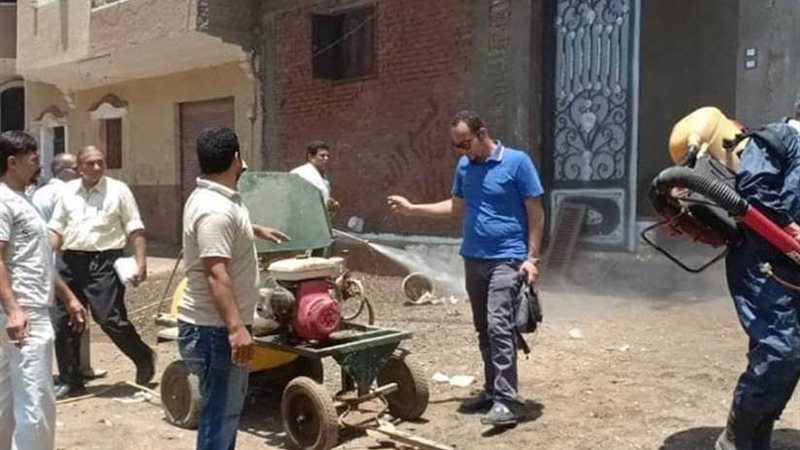 ظهور حشرة القراد