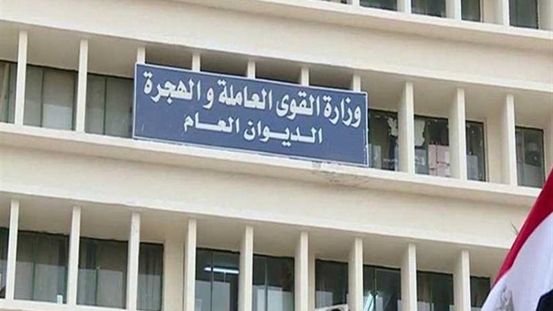 القوى العاملة تحدد