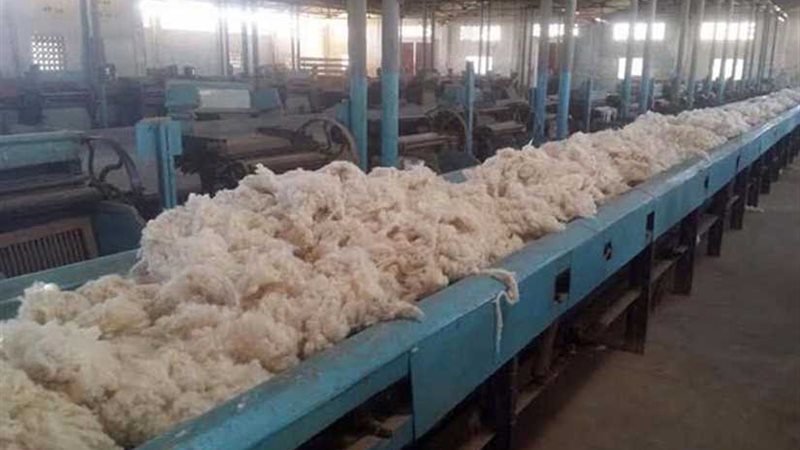 محلج الفيوم.. قصة