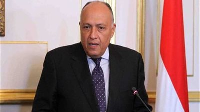 وزير الخارجية يؤكد على أهمية توفير كافة سبل الرعاية اللازمة للمواطنين المصريين في الخارج