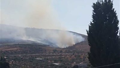 شاهد.. مستوطنون يحرقون أشجار الزيتون في بورين جنوب نابلس