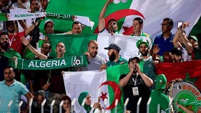 6 طائرات جزائرية تتجه للقاهرة لنقل الجمهور لمتابعة 